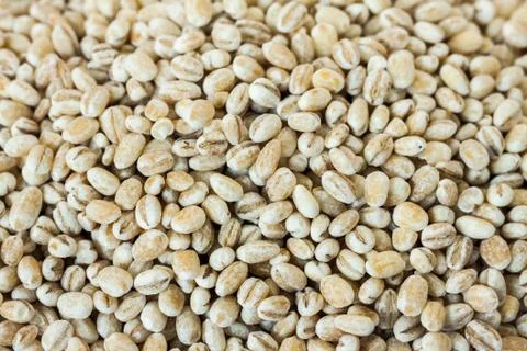 Dry bean and nut Stock Photos