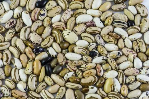 A dry bean background Stock Photos