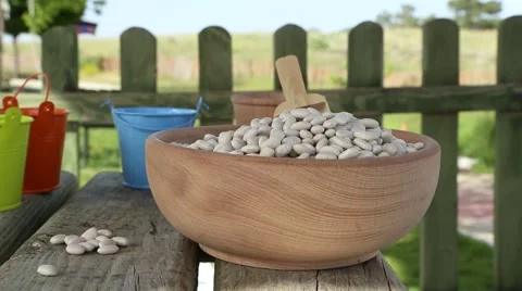 Dry bean on tree table Stock Footage 65307427