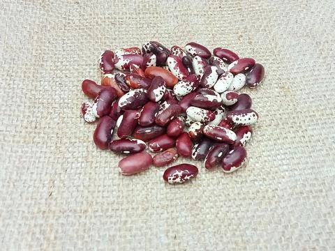 Dry beans on burlap background Stock Photos