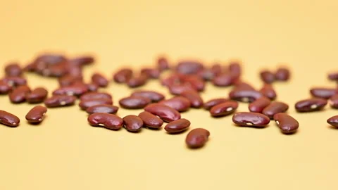 Dry beans Stock Footage 284730083