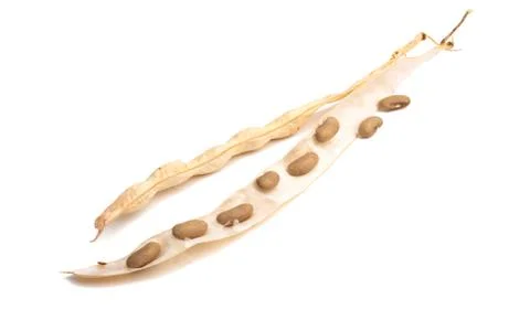 Dry beans isolated Stock Photos