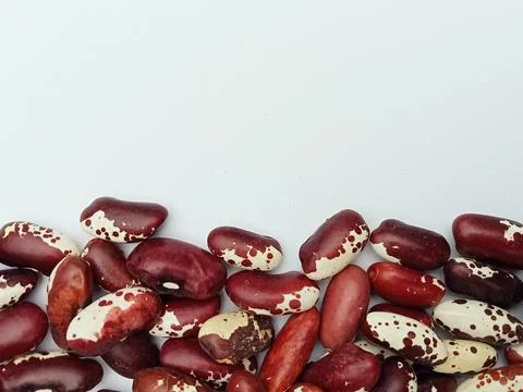 Dry beans on white background with copy space Stock Photos