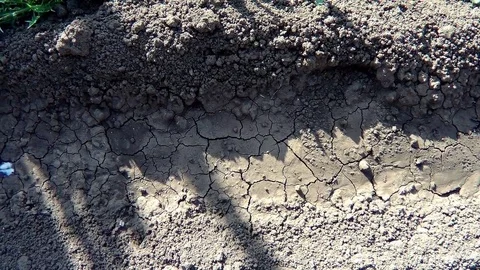 Dry beds with sowing watered Video stock 78049984