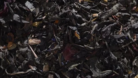 Dry black tea leaves close up Stock Footage 297404921