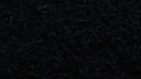 Dry black tea rotation 스톡 동영상 78906122