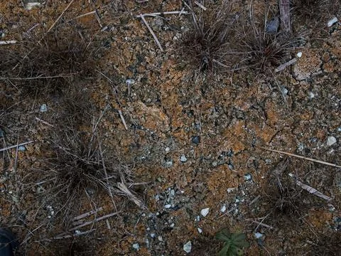 Dry bottom of the lake, a consequence of climate change Stock Photos
