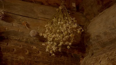 Dry bouquet of chamomile is hung from ceiling in steam room of sauna against Stock Footage 221941661