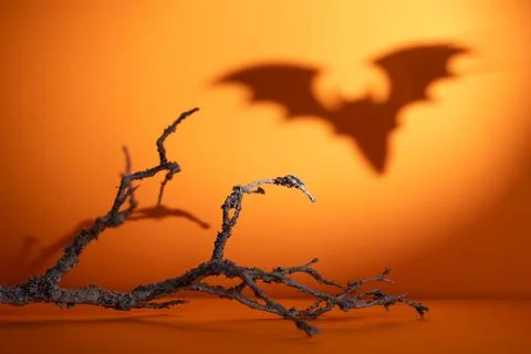 Dry branch in foreground with bat shadow on orange Halloween background for.. Stock Photos
