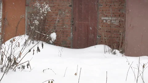 Dry branches covered with snow. Snowfall on the street. Close-up. Live video. HD Vídeo Stock 100822090