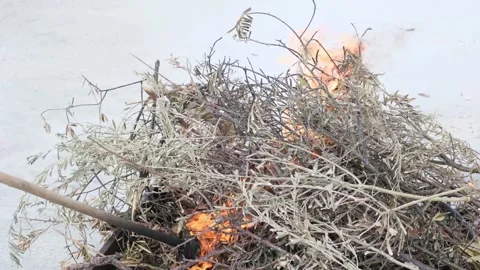 Dry Branches Ignite in Fire Safety Test Stock Footage 301000709
