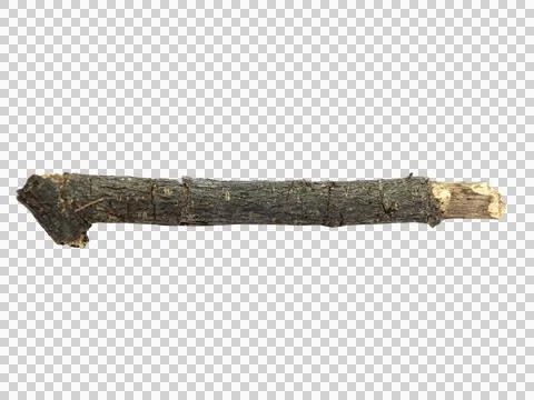 Dry branches isolated on transparent background. Stock Photos