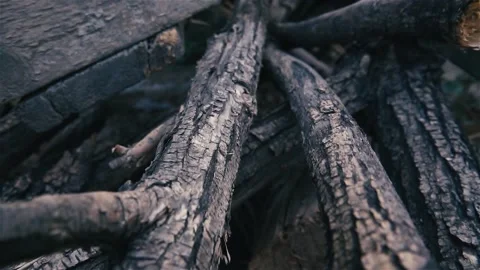 Dry branches lie on the floor Stock-Footage 238397700