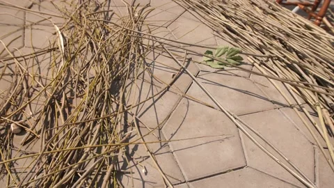 Dry branches on the pavement 動画素材 179136797