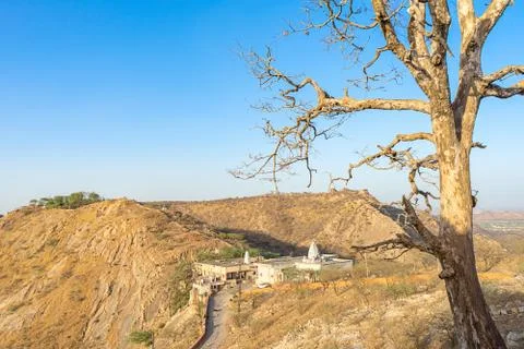 Dry branches of stand alone tree without any leafs on blue sky. from the sun  Stock Photos