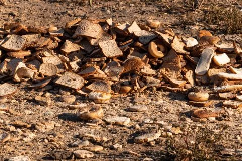 Dry Bread Waste Stock Photos
