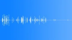 DRY BRITTLE SNAPPING LONG01 Sound Effect