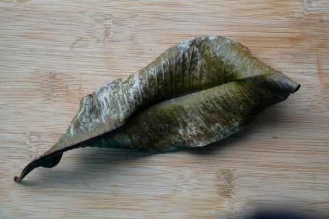 Dry brown Leaf isolated on rustic wooden background. Climate change concept Stock Photos