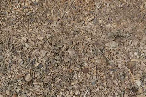 Dry brown leaf texture and background Foto stock