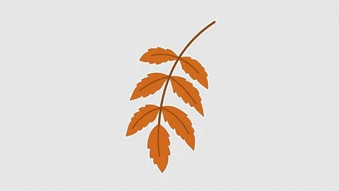 Dry brown leafy twig Vídeos de archivo 336665135