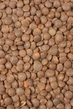 Dry brown lentils Stock Photos