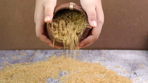 Dry brown rice Stock Footage 170249374