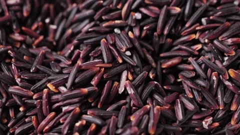 Dry brown wild rice close up. Organic natural ingredient for healthy food. Stock Footage 308573024