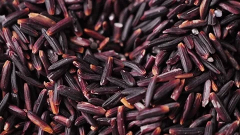 Dry brown wild rice close up. Organic natural ingredient for healthy food. Stock Footage 309797082