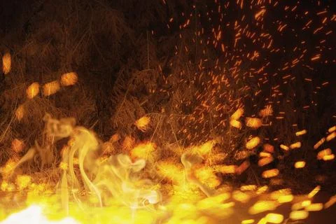 Dry brush fire. Climate change. Stock Photos