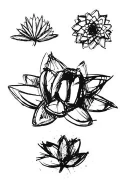Dry brush lotus set Stock Illustration