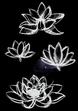 Dry brush lotus set Stock Illustration