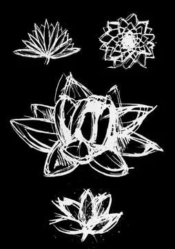 Dry brush lotus set Stock Illustration