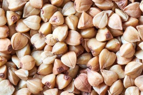 Dry buckwheat background or texture for design. Dietary product. Closeup view Foto stock