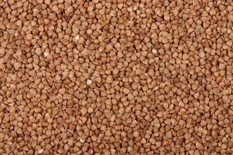 Dry buckwheat background texture Stock Photos