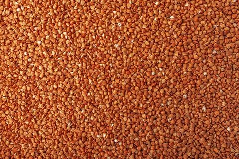 Dry buckwheat texture. Background from raw buckwheat. Stock Photos