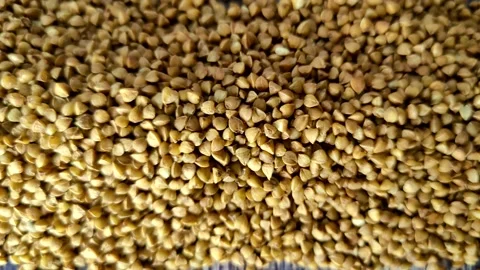 Dry buckwheat on a wooden table Stock Footage 231594041