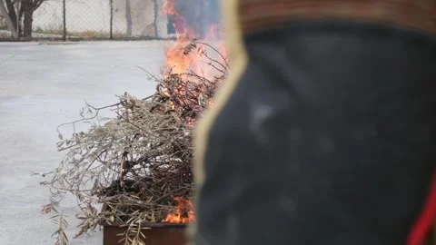 Dry Bush Ignition Experiment in Open Area Stock Footage 301051743