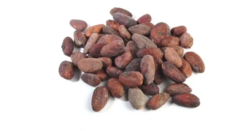 Dry cacao beans rotating on white - Kakaobohnen 50FPS Stock Footage 276906511