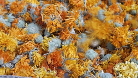 Dry calendula flowers - close-up view. Drying flowers for the winter Stock Footage 222001404