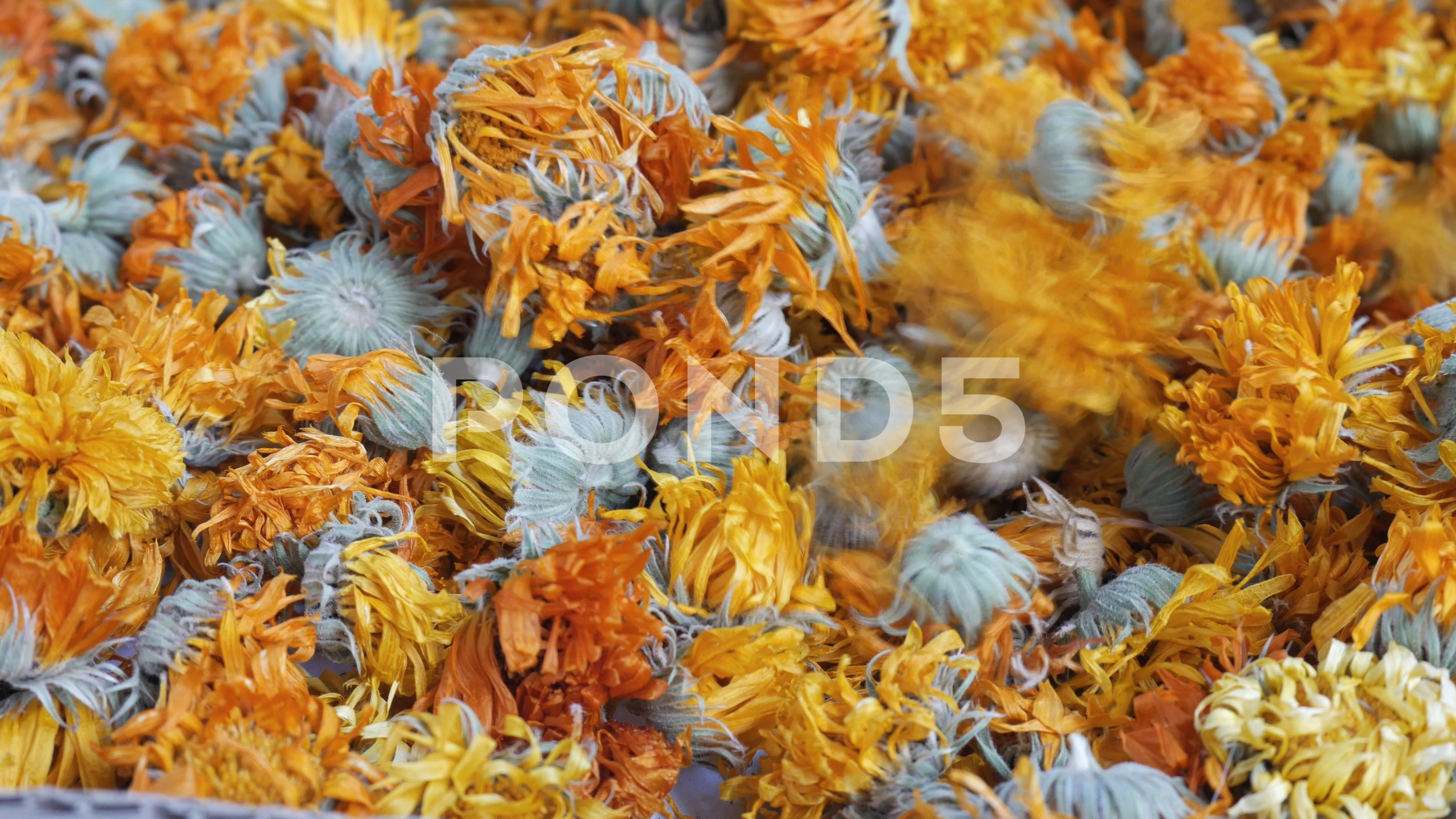 Dry Calendula Flowers