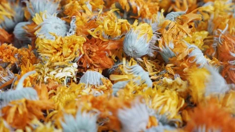 Dry calendula flowers - close-up view. Drying flowers for the winter Stock Footage 224061000