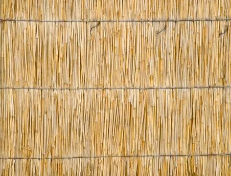 Dry cane background. Stock Photos