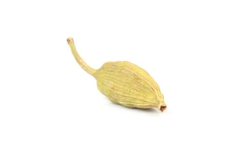 Dry cardamom isolate Stock Photos