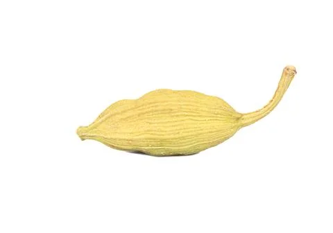 Dry cardamom isolate Stock Photos