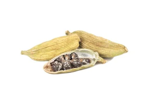 Dry cardamom isolate Stock Photos