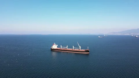 Dry cargo ship on bulk vessel anchored in anchorage Video stock 243385300