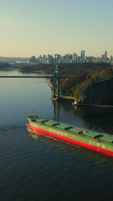 A dry cargo ship passes under the Lions Gate Bridge at dawn. Vancouver, Canada Video stock 342836595