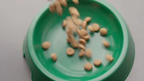 Dry Cat Food. Adding Dry Cat Food to Cat Bowl. Stock Footage 135530688