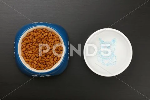 Dry cat food and water in bowl on black floor Stock Photos