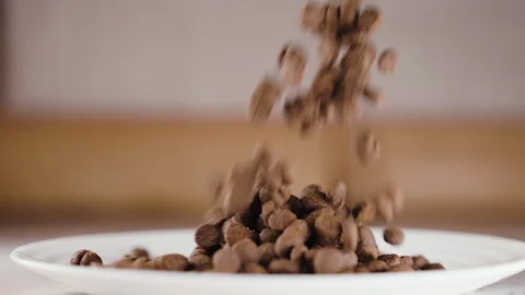 Dry Cat Food Falling into White Bowl in Slow Motion, Pet Food Kibble Spilling Stock Footage 291753525